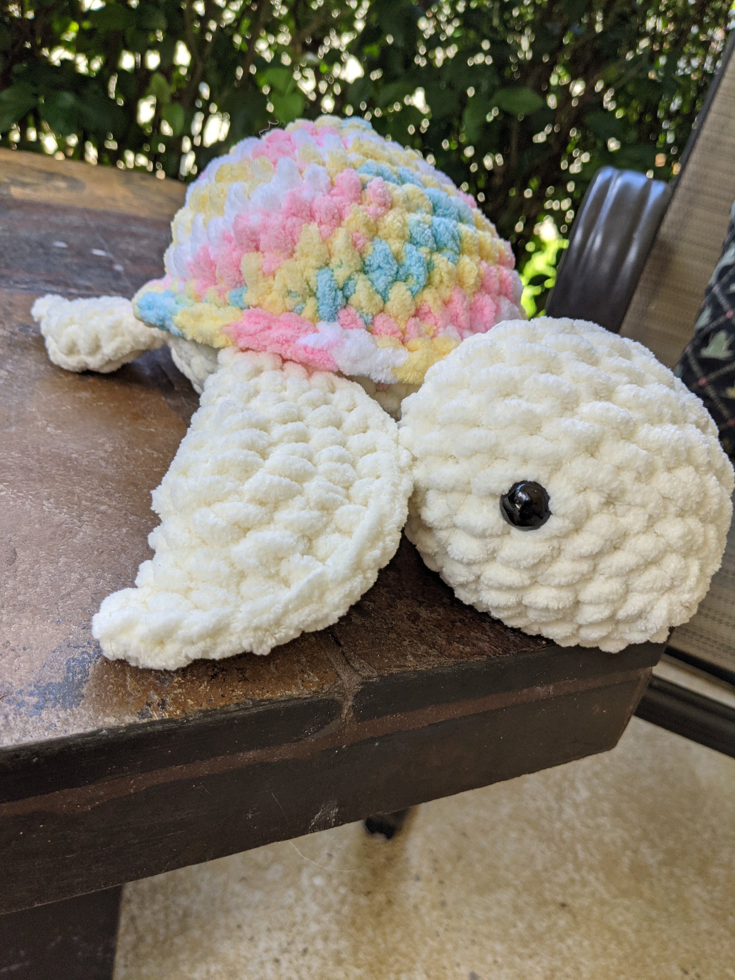 Confetti Turtle