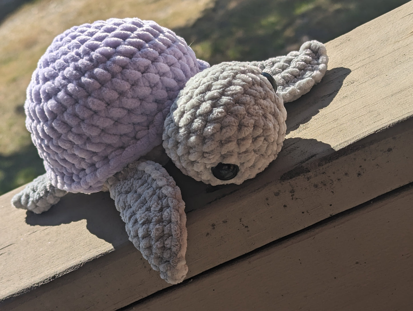 Lavender Turtle