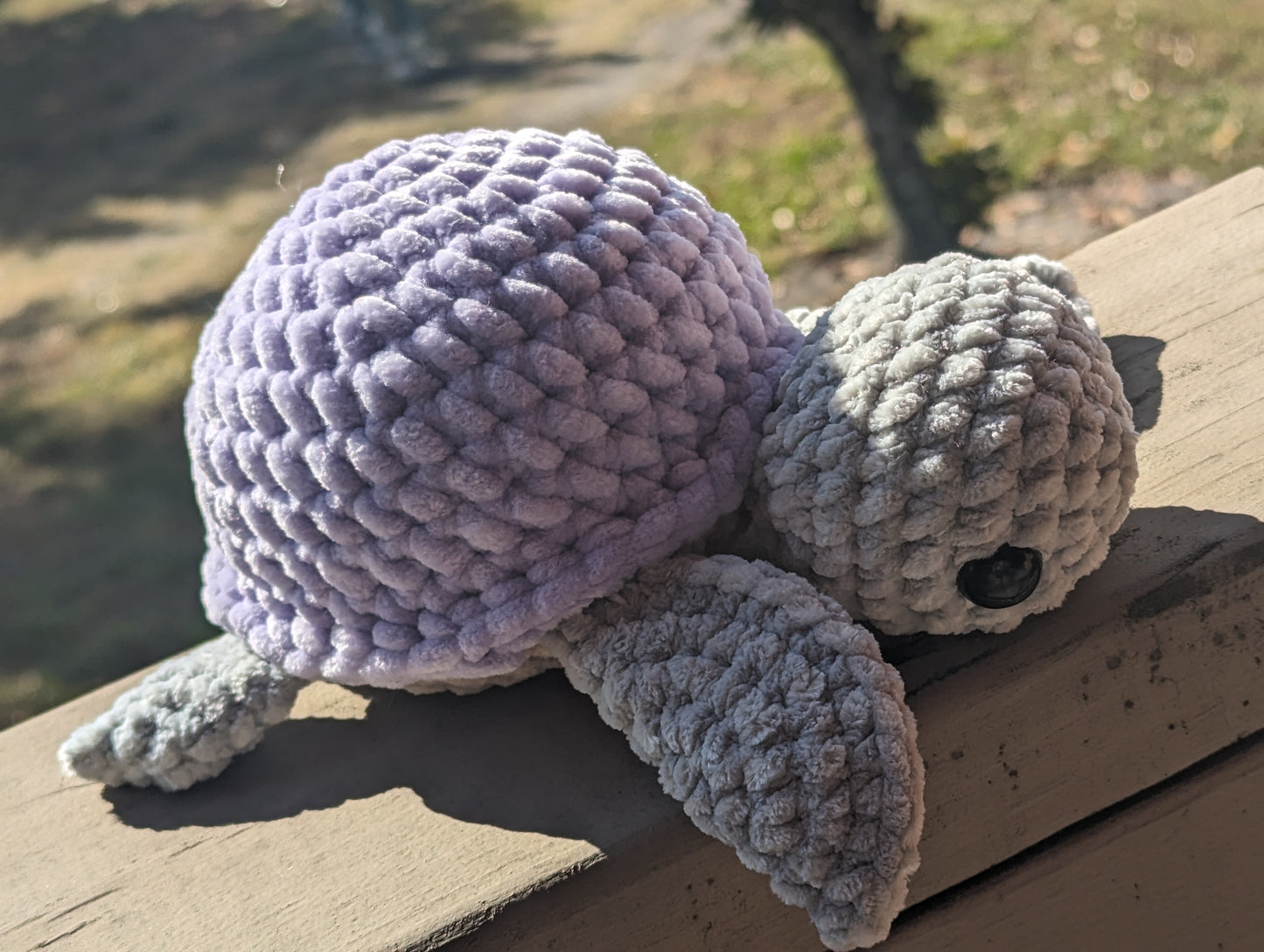 Lavender Turtle