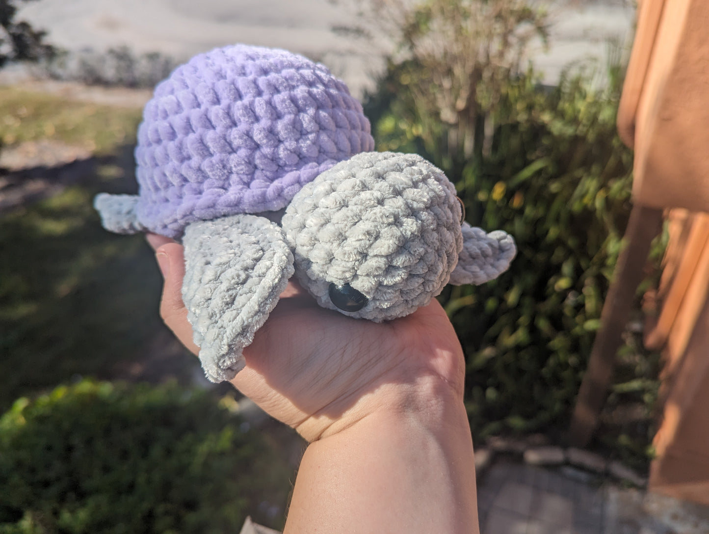 Lavender Turtle