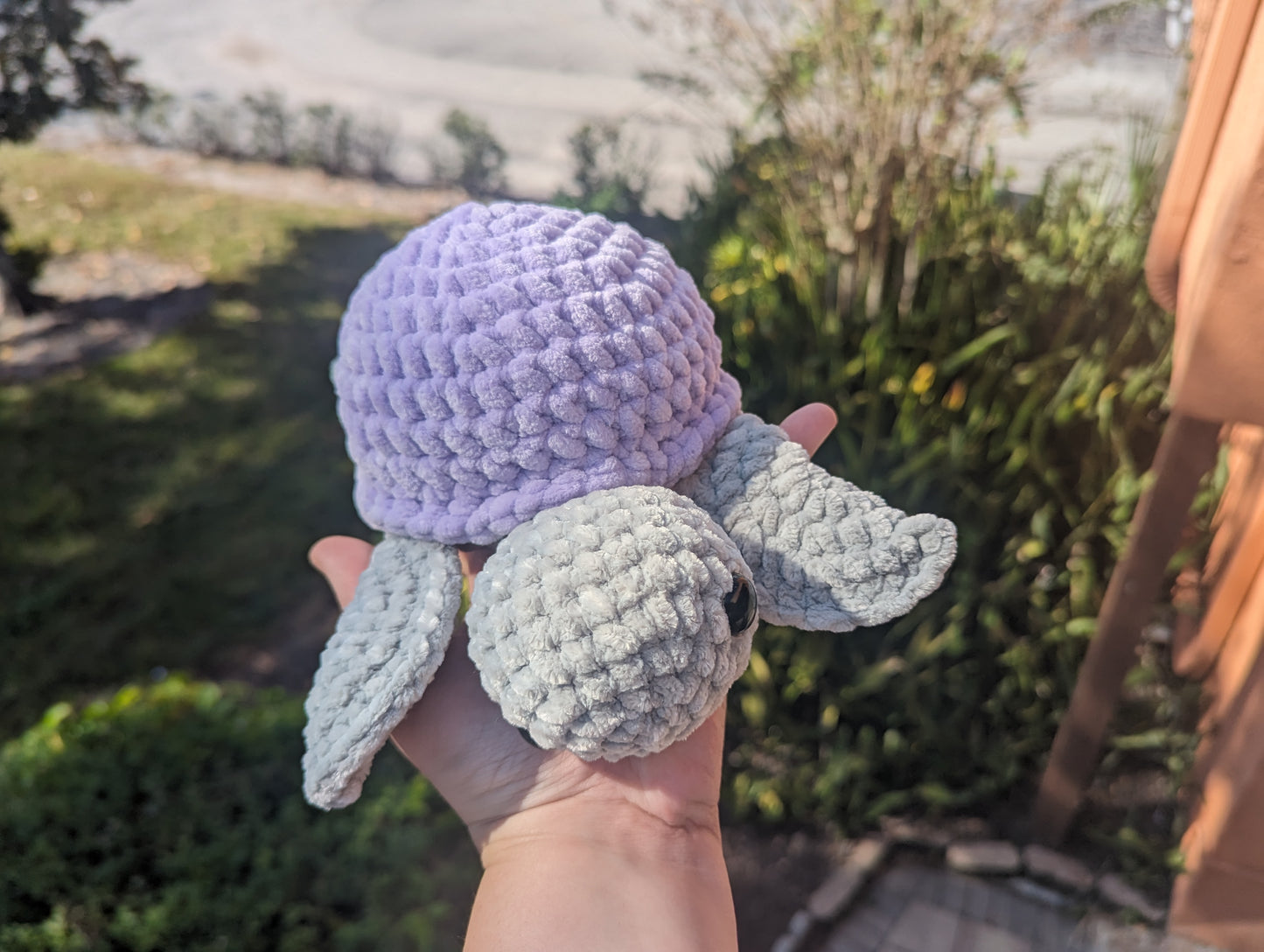 Lavender Turtle