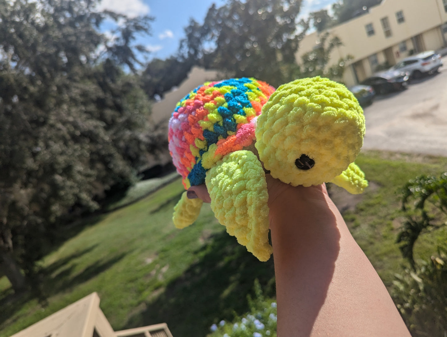 Tye-Dye Chunky Turtles