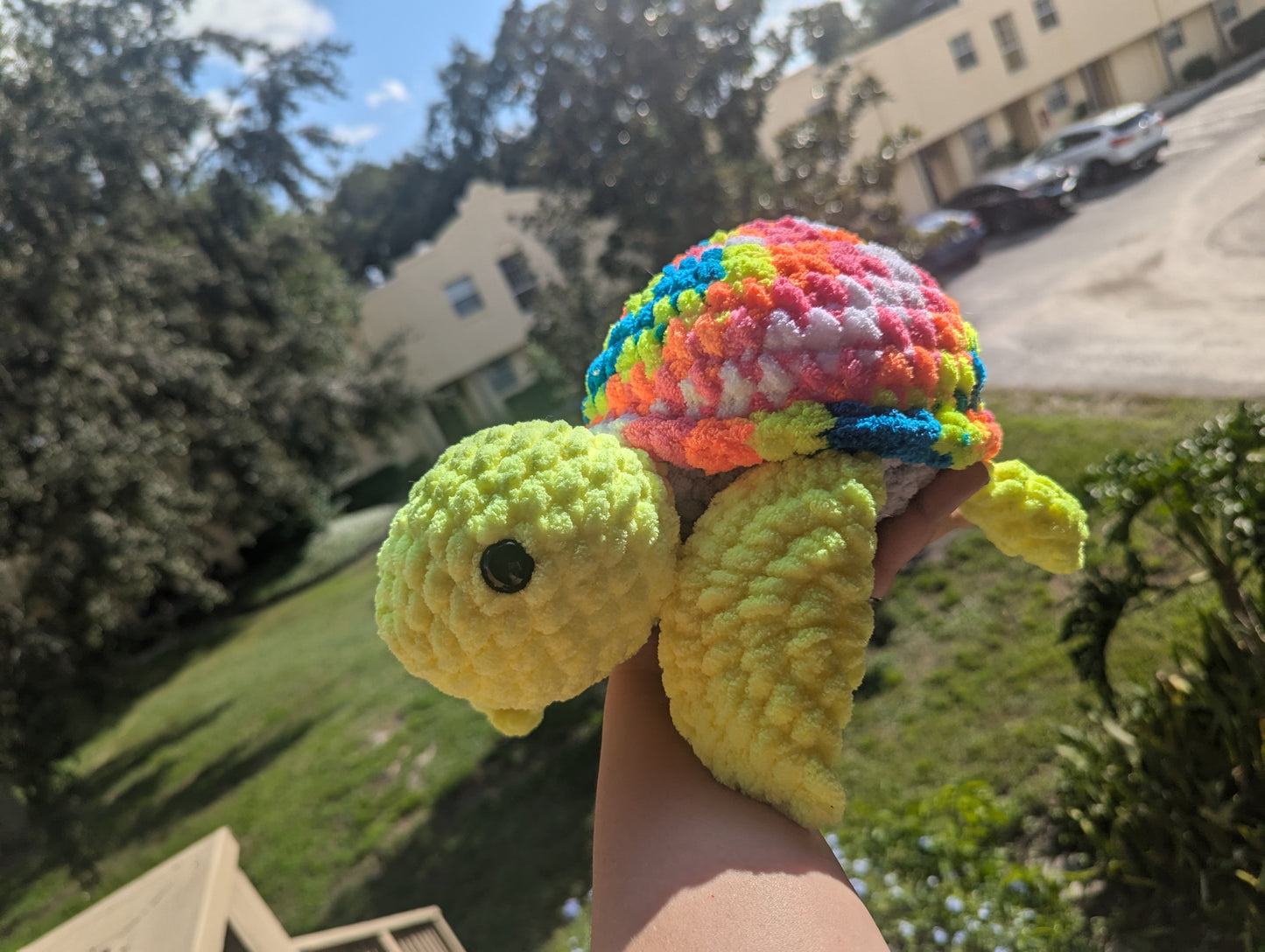 Tye-Dye Chunky Turtles